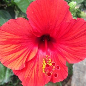 Meet your Posher, Renee